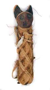 Mummification: Egyptian mummified cat