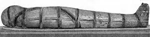 Mummies: An Egyptian Mummy
