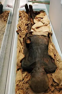 Mummy: Egyptian mummy