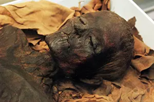 Mummy: Egyptian mummy