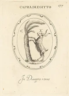 Red Jasper: Egyptian ram climbing a palm tree