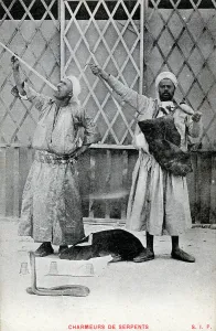 Charmers: Two Egyptian Snake Charmers