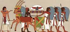 Vulture: Egyptian Soldiers