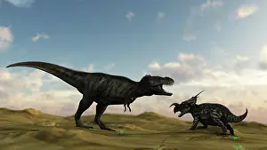 Einiosaurus: An Einiosaurus is confronted by a Tyrannosaurus Rex