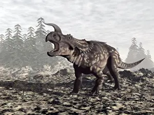Einiosaurus: Einiosaurus dinosaur roaring in nature