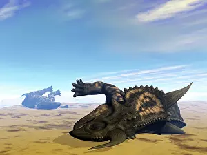 Einiosaurus: Two Einiosaurus dinosaurs dead in the desert because of ?