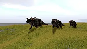 Einiosaurus: Three Einiosaurus dinosaurs walking across a grassy field