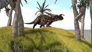 Einiosaurus: Einiosaurus on a grassy hill
