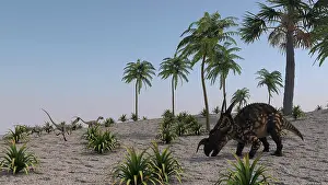 Einiosaurus: Einiosaurus grazing in a tropical climate