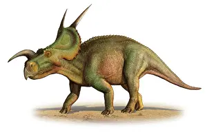 Einiosaurus: Einiosaurus procurvicornis, a prehistoric era
