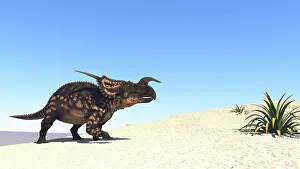 Einiosaurus: Einiosaurus walking across a barren landscape