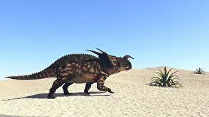Clear: Einiosaurus walking across a barren landscape