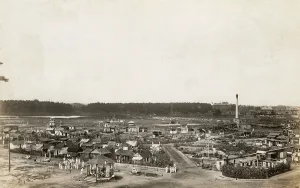 Involvement: Eitel Wilhelm Internment Camp, Rotten Row, Virginia, USA
