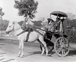 Hackney: Ekka, single horse carriage, hackney, India