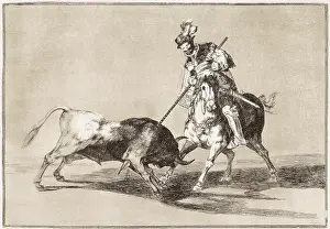 Spearing: El Cid spearing another bull