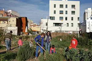 Hoeing: El Hort Indignat allotments, El Poblenou, Barcelona