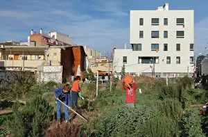 Hoeing: El Hort Indignat allotments, El Poblenou, Barcelona