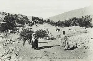 Kantara: El Kantara, Constantine, Algeria