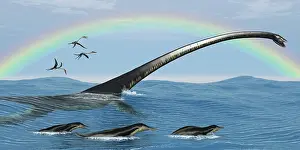 Elasmosaurid: Elasmosaurus tries to capture a Dolichorhynchops reptile
