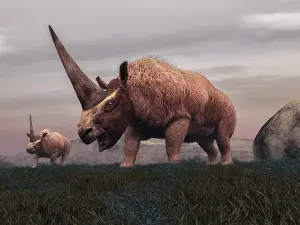 Pliocene: Elasmotherium dinosaurs grazing in the steppe grass