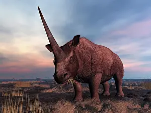 Steppe: An Elasmotherium grazing