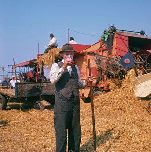 Farmhand: Elderly farmhand at harvest time