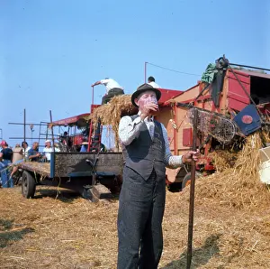 Farmhand: Elderly farmhand at harvest time