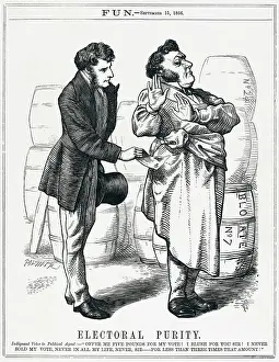 Purity: ELECTORAL PURITY 1866