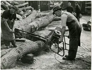 Sawdust: ELECTRIC CHAINSAW