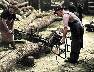 Sawdust: ELECTRIC CHAINSAW