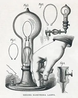 Bulbs: Electric Light Bulb and electricity
