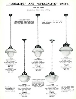 Fixtures: Electric Light Fixtures catalogue, Lunalite and Efescalite