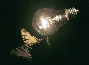 Stay: Electric Light photo art work, 1997