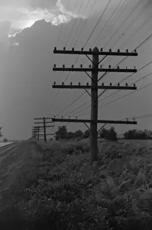 Electrification: Electric lines taking power to rural Americans