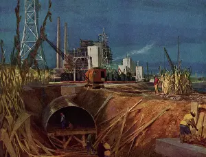Cornfield: Electric Power Plant