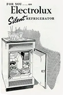 Electrolux: Electrolux refrigerator