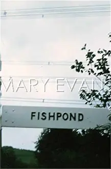 Fishpond: ELECTROMAGNETIC FIELD