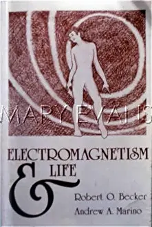 Marino: ELECTROMAGNETISM COVER