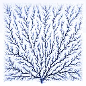 Perspex: Electron Tree or Lichtenberg Figure