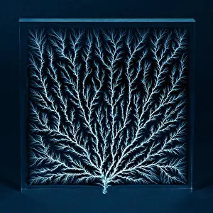 Perspex: Electron Tree or Lichtenberg Figure