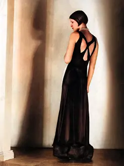 Segmented: Elegant Evening Dress