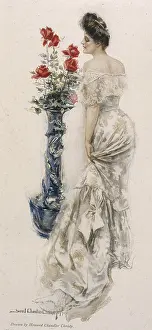 Lacey: Elegant Rose-Lover 1904