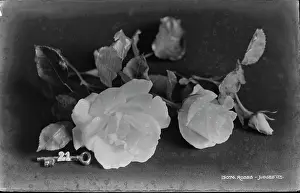 Delicate: Elegant Roses with Key