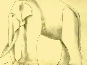 Pacaderm: Elephant