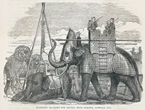 Howdah: ELEPHANT IN ARMOUR