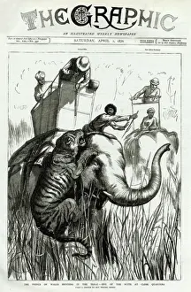 Howrah: Elephant attacked by Tiger