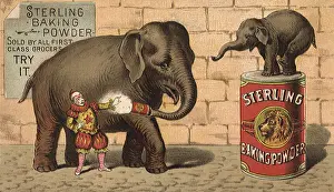 Soda: Elephant and Baby