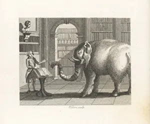 John Stockdale: The Elephant and the Bookseller