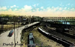 Youngstown: Elephant Bridge, Youngstown, Ohio, USA