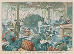 Comedie: ELEPHANT/CAFE 1905